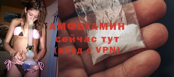 Альфа ПВП Ельня