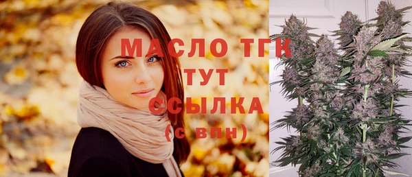 Альфа ПВП Ельня