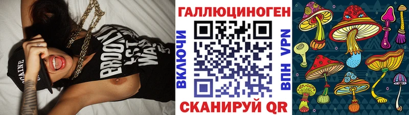Купить закладки  Зеленоградск  Псилоцибиновые грибы MAGIC MUSHROOMS 
